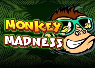 Monkey Madness слот Frank casino